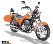 2009 Clipic Custom Guepard  250cc photo